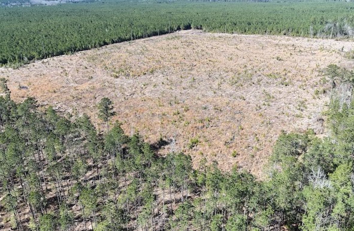 DJI_20260224035953_0401_D