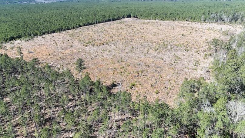 DJI_20260224035953_0401_D