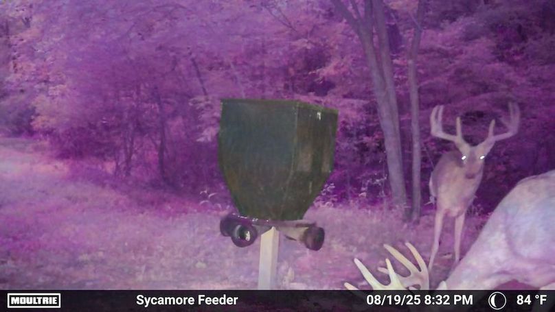 Fleming Petry 115-60