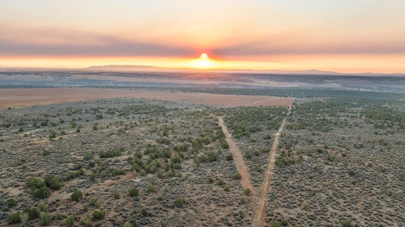 DJI_0461_1 (1)