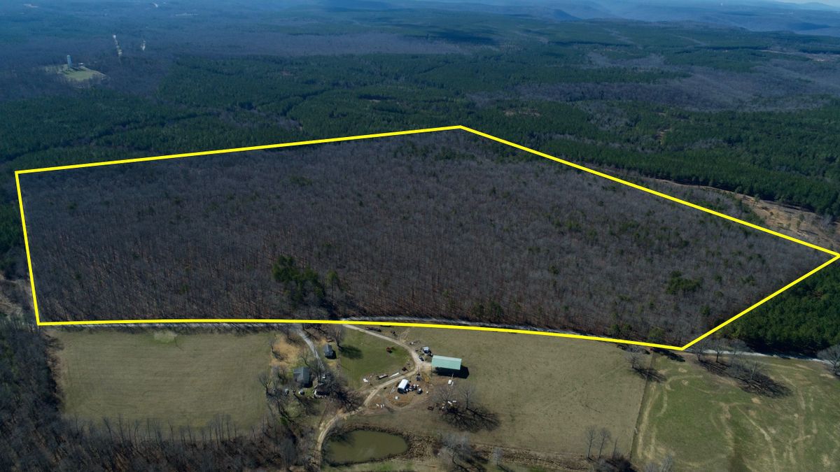 Hunting And Recreational Tract Boarding Bridgestone WMA In TN