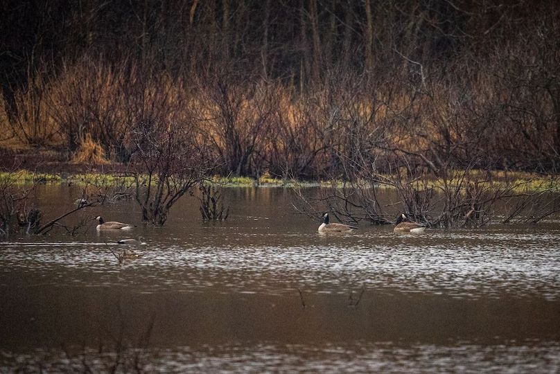 St Clair IL 263.95 Featured_Pro Photo-72