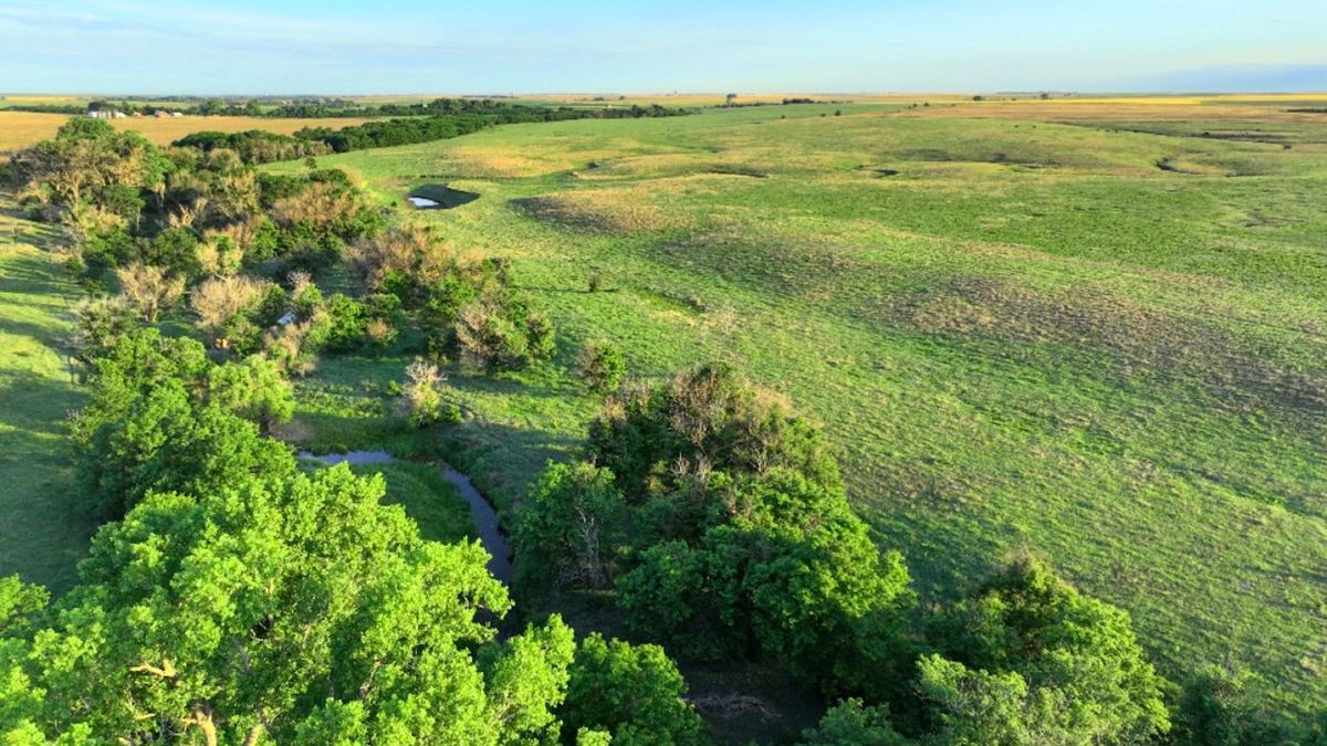 Big Creek Hunting Farm Near Ellis | Whitetail Properties