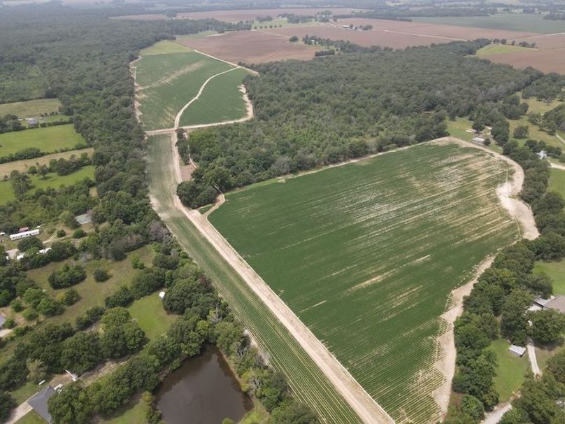 dji_fly_20240802_131312_230_1722622406899_photo