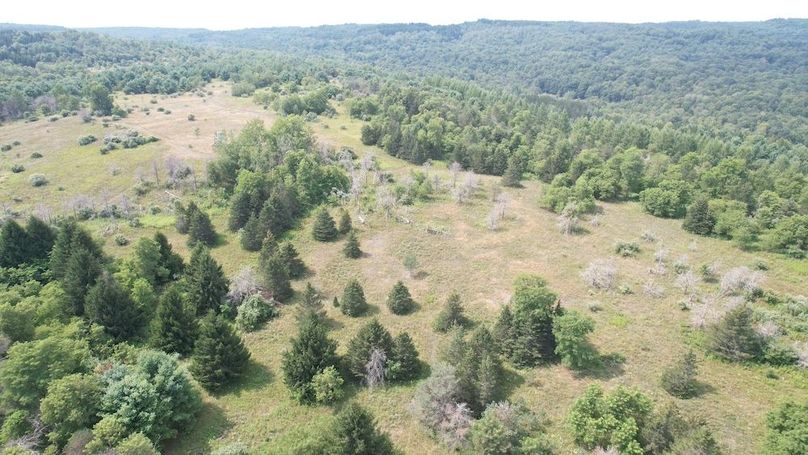 dji_fly_20250804_153202_491_1754355816045_photo