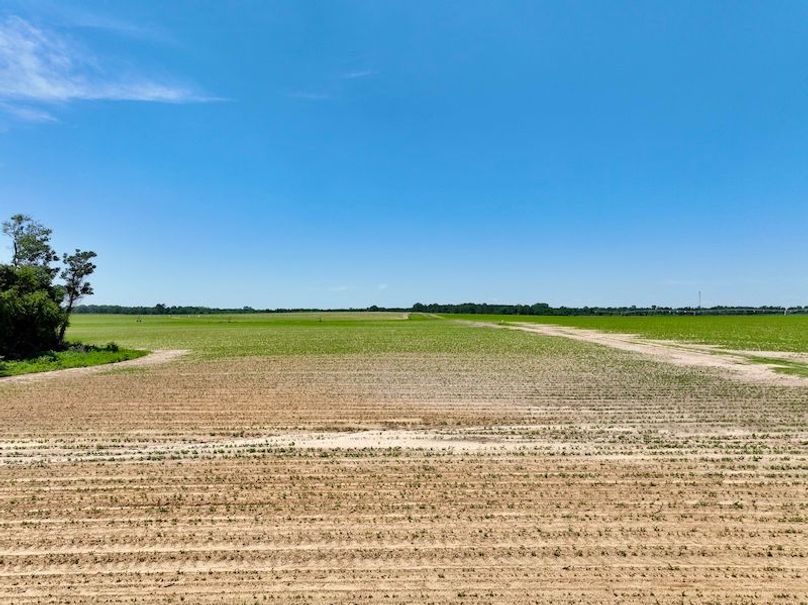 dji_fly_20250521_144648_884_1747853594808_photo