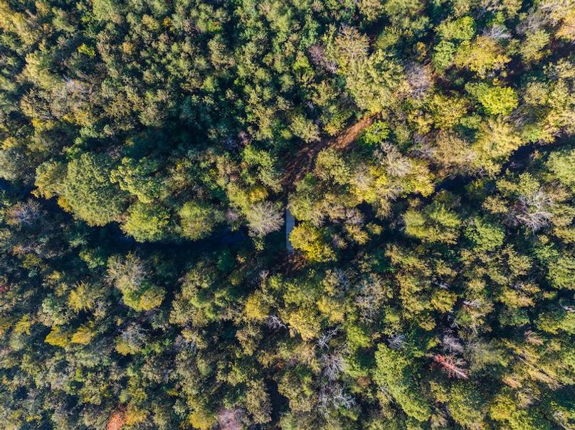 Clay 302.7 Henderson-43