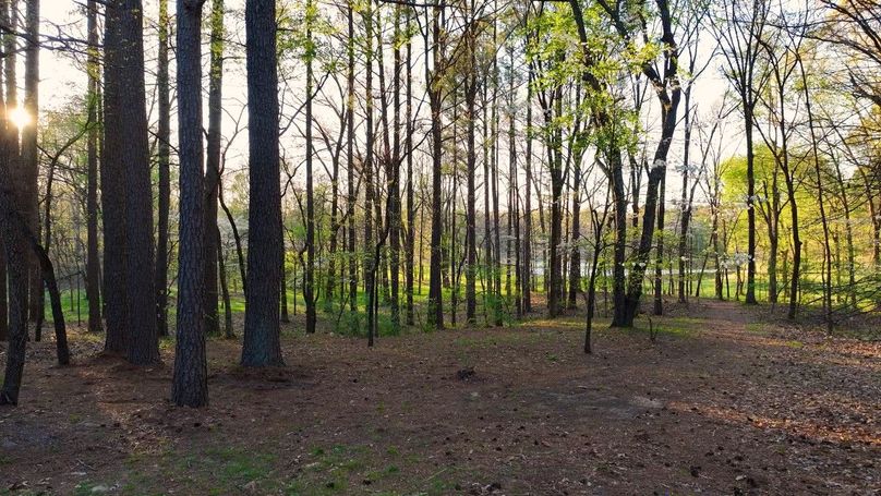 WILLIAMSON, IL 65.00_14_05_16.Still047