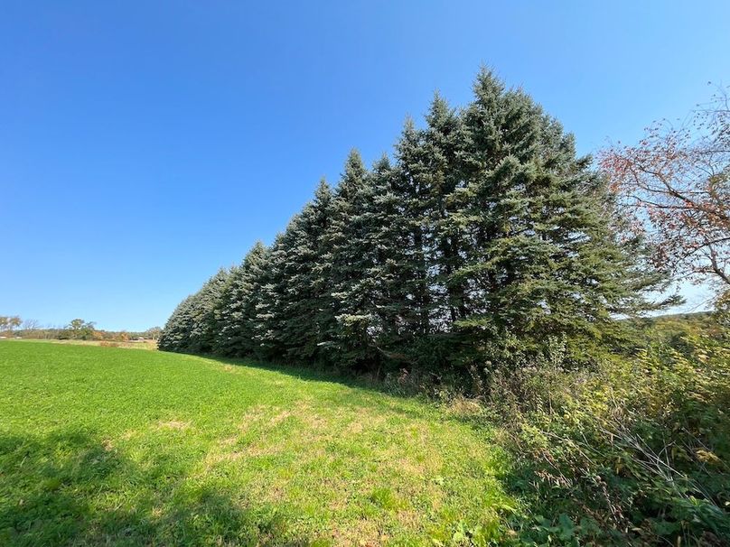 Yates_29_Stape Photo 21