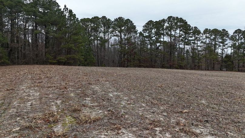 dji_fly_20251212_124518_0074_1765562260822_photo