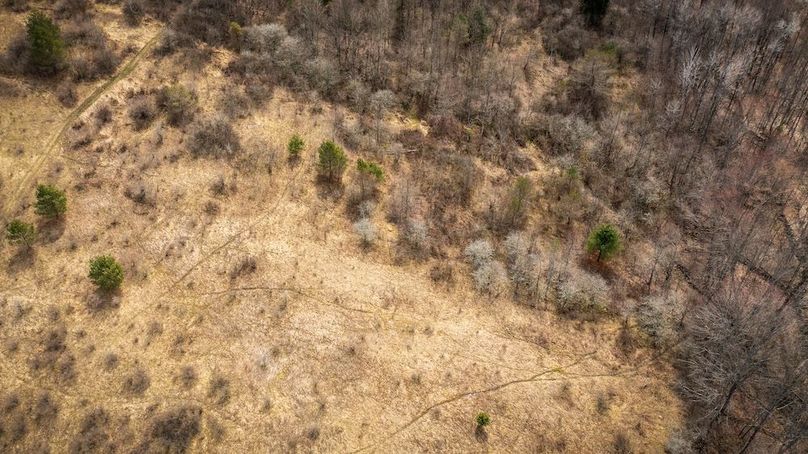 Tioga__NY_109.7_Burris_Photos_56