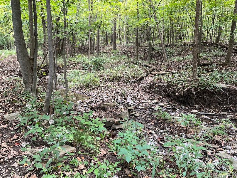 Schuyler_42.08_Austin Photo 24