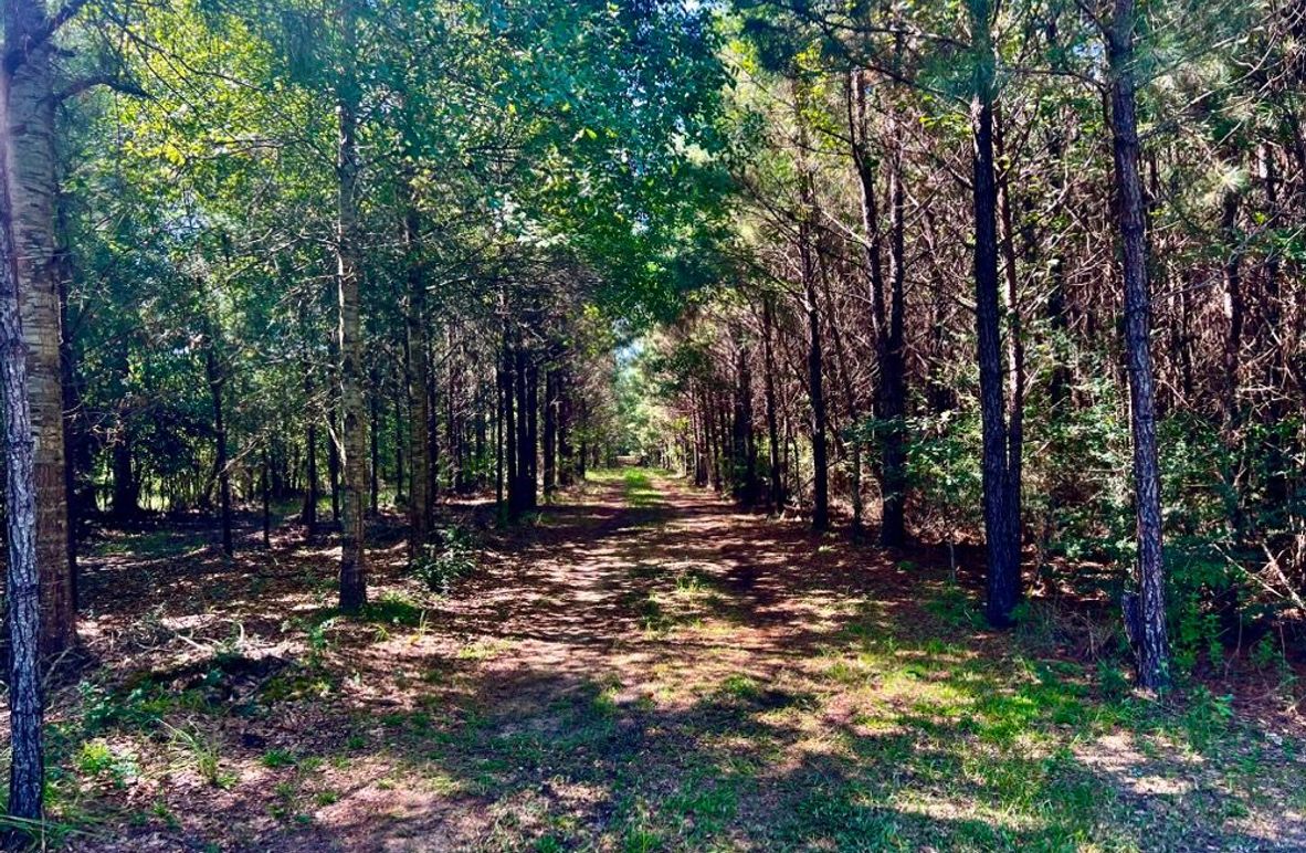 1FD2A0B2-A863-4477-AC07-D5FFC51D69BD_1_201_a