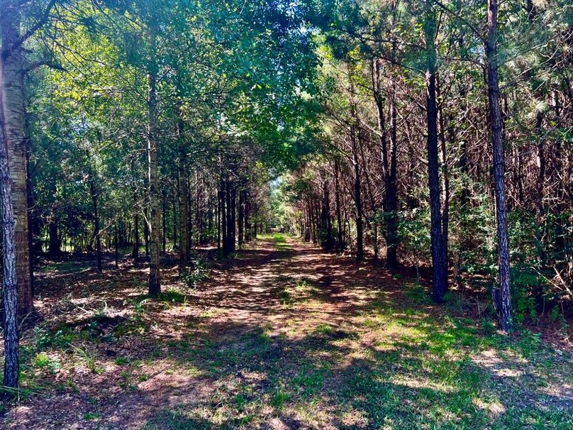 1FD2A0B2-A863-4477-AC07-D5FFC51D69BD_1_201_a