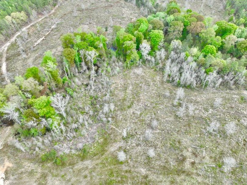 dji_fly_20250403_152206_664_1743708455514_photo