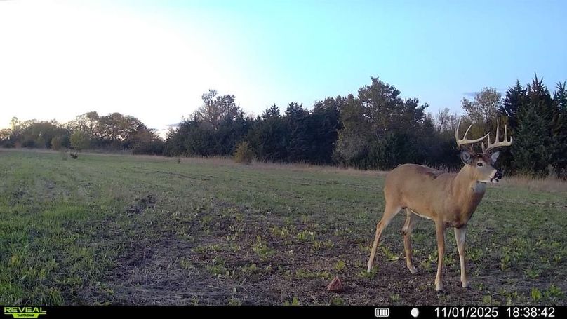 016578002025259-100-3-11012025183842-SYFW11446