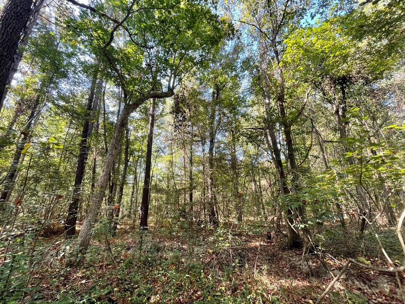 FE08ADA7-8788-43AD-BB64-4733D6D4F237_1_105_c