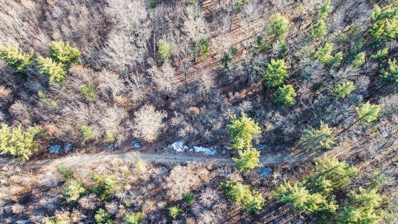 ClarK 160 WILLIAMS -26