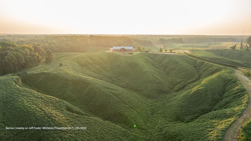 Tallahatchie 847 Messina-80