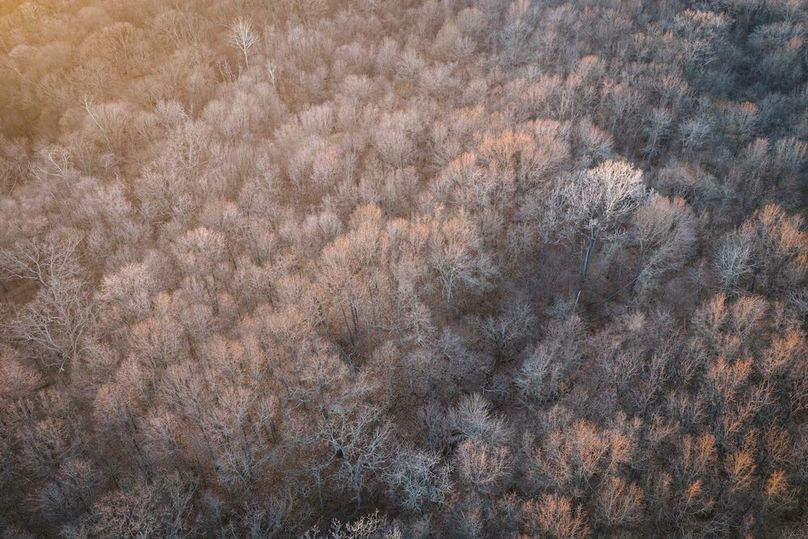 DJI_20260309184234_0342_D