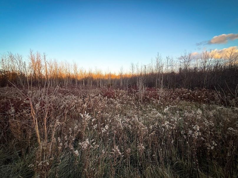 Wayne_29.09_BD_LandNorth_Parcel_9