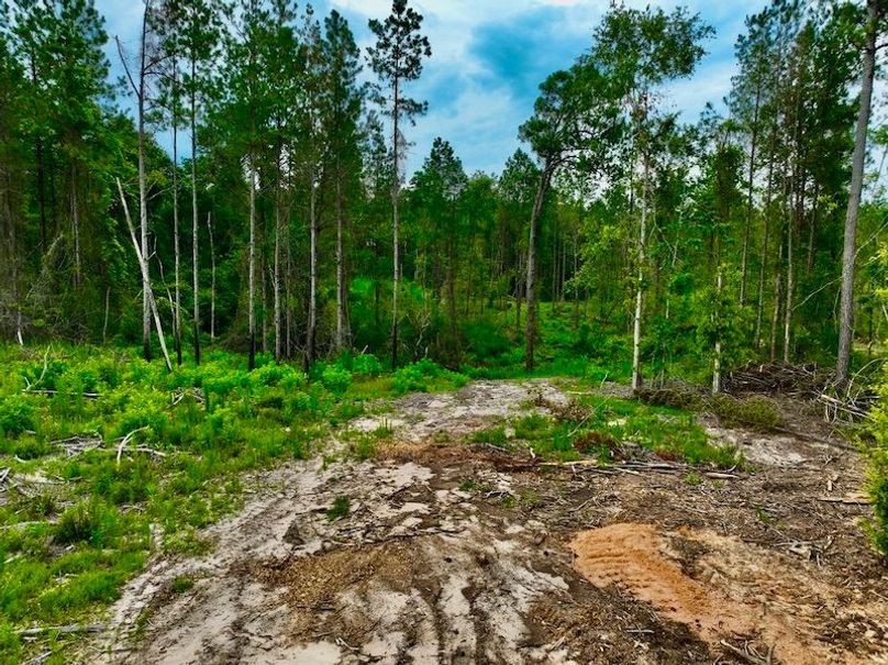 6C3CC61B-68D2-4E09-ACA8-BC8C5CF72BA3_1_105_c