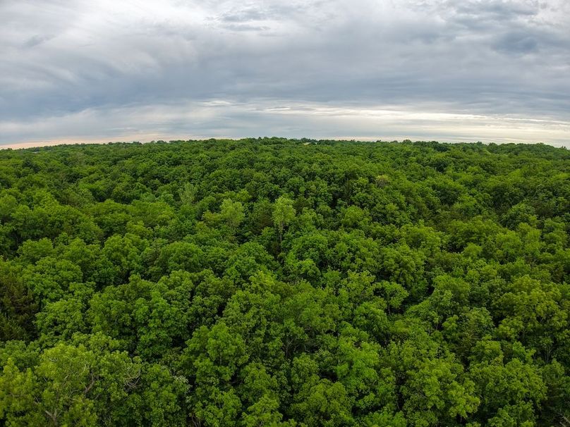 DJI_20250630072904_0329_D