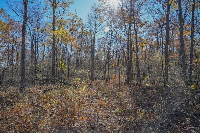 Somerset, 10.91, Tinkey-33