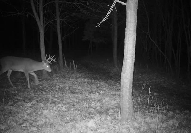 865509050473549-50-4-12082023051518-V-W1011018