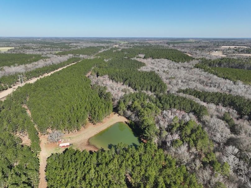 dji_fly_20240207_103840_50_1707320793034_photo