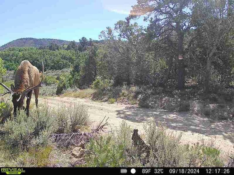 860516060102641-100-2-09182024121726-V-W1000032