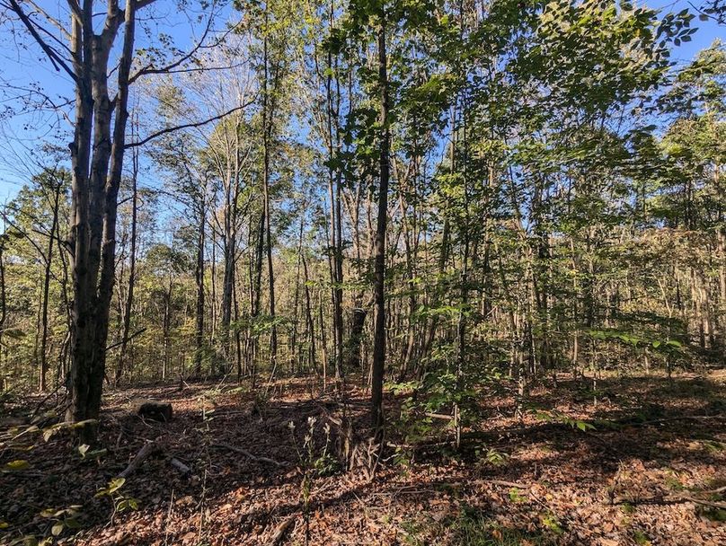 PXL_20251001_205523754