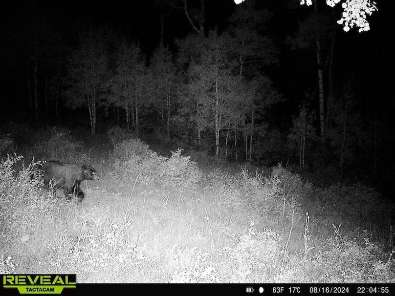 864049052055672-50-4-08162024220454-HD-W1000062 (1)