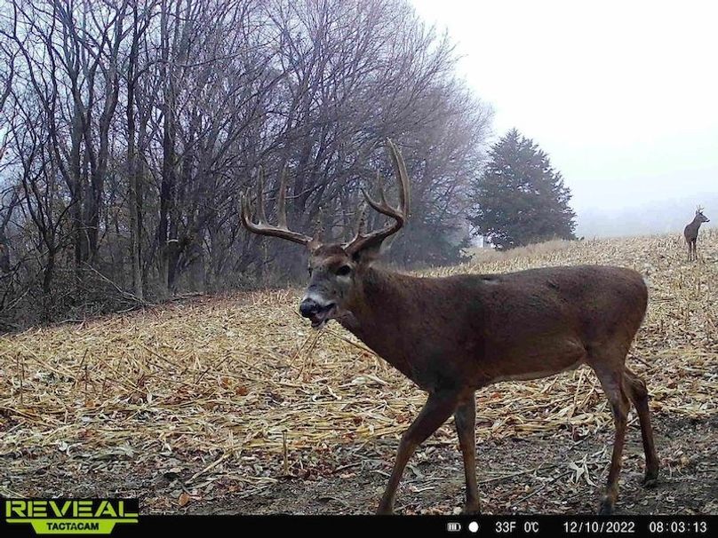 TRAIL CAM 1