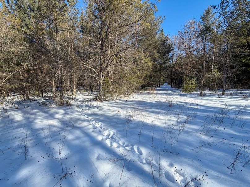 Monroe 68.2 - 101 of 120