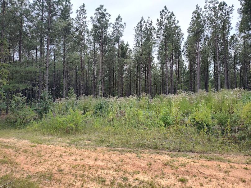 IMG_20250914_150836561_HDR