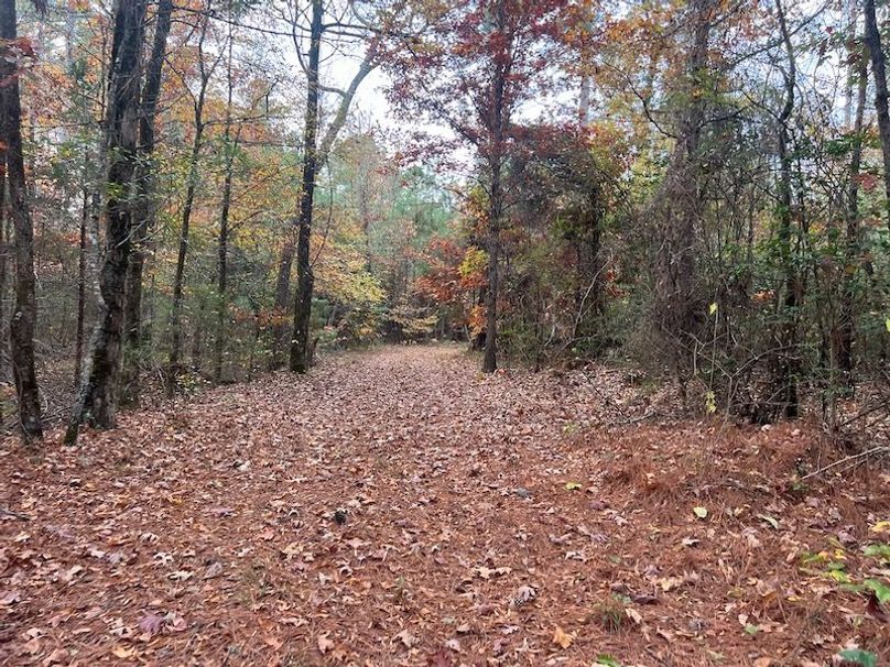 Dal_40_Denton20251117_0346