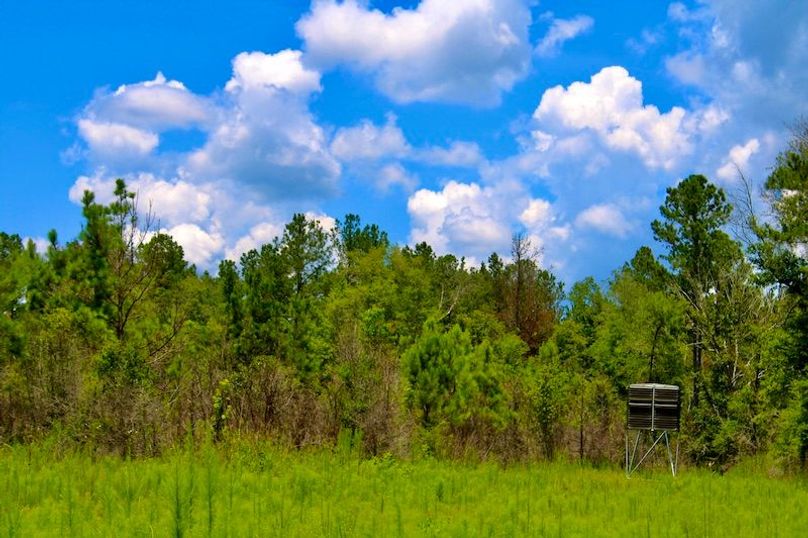 310EF552-0F94-4988-962E-2DF1A0A7C050_1_201_a