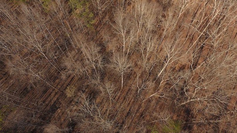 DJI_0512