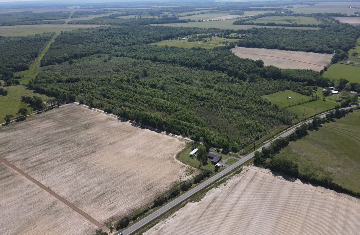 dji_fly_20250414_154356_545_1744663459693_photo