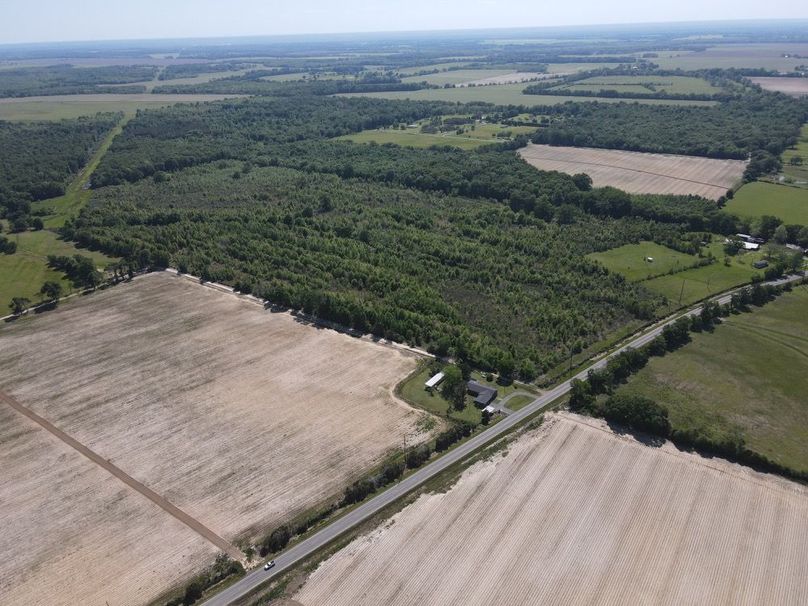 dji_fly_20250414_154356_545_1744663459693_photo