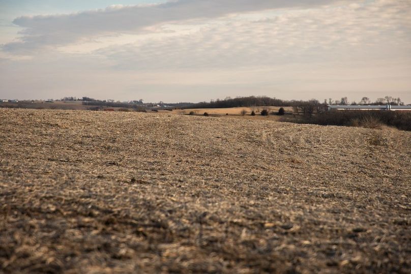 MONTGOMERY CO IA 156.78_59