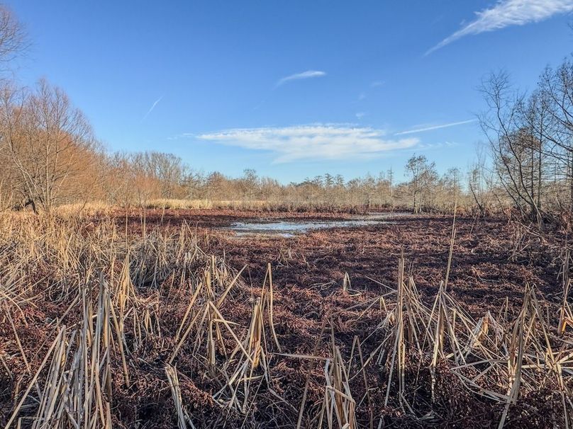 St. Francis 138.5 Calvin Parker Farms Profile -29