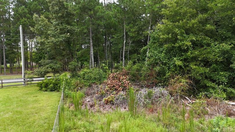 dji_fly_20250715_115652_0613_1752596188974_photo