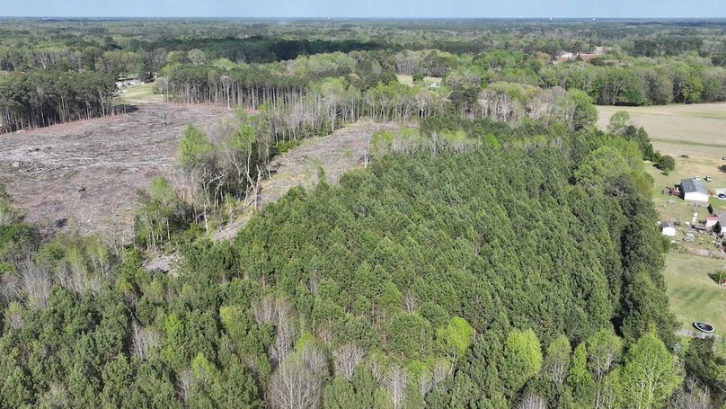 dji_fly_20260330_090236_0554_1774989420254_photo