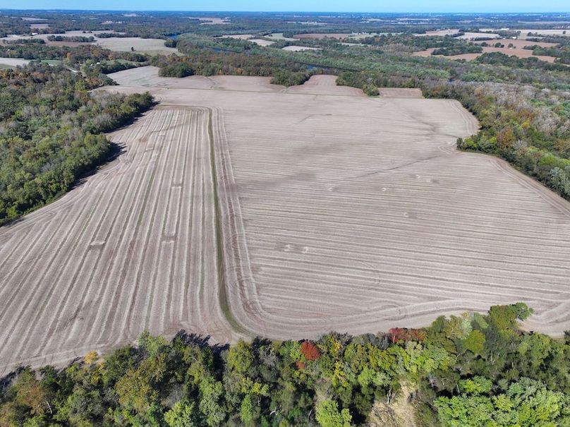 Copy of DJI_20251031124659_0748_D