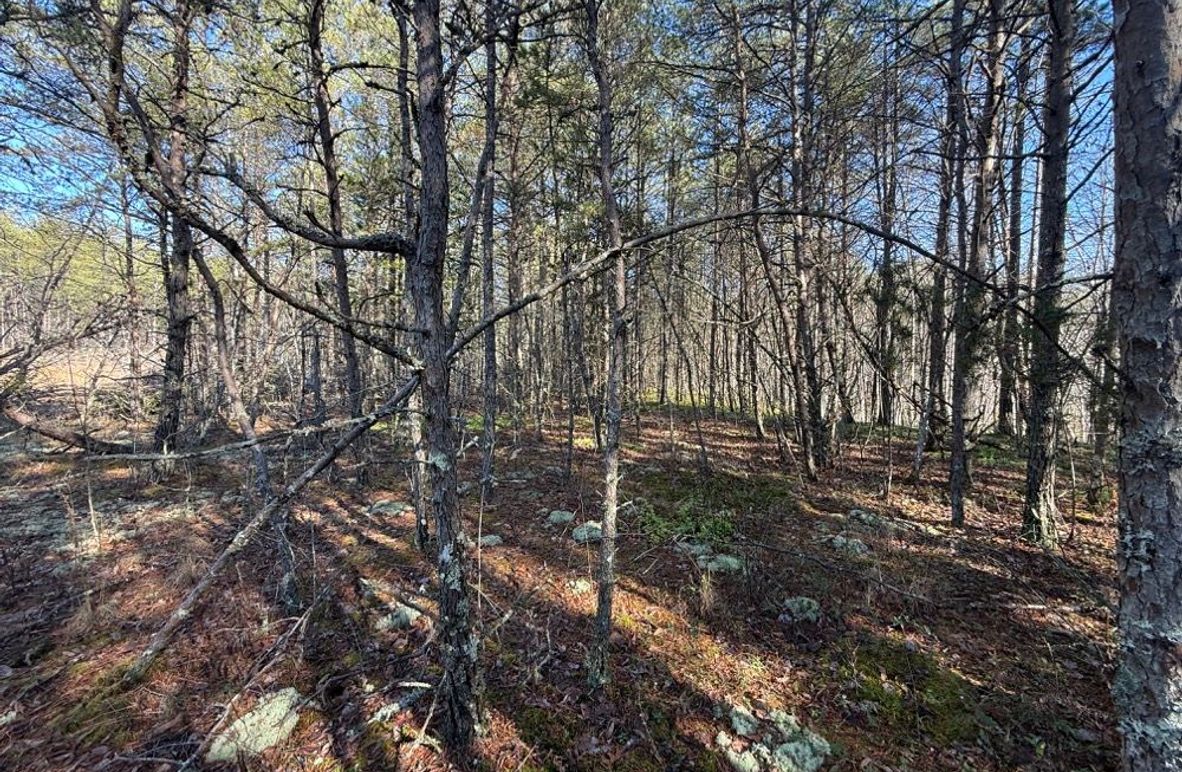 003 much of the usable flats that would be easily cleared for a cabin