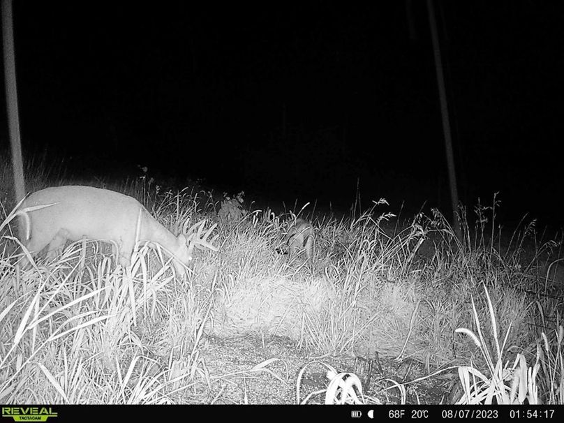 45987103-2E07-48EE-A1D6-C7963C06AF4F