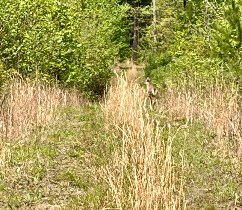 3845FE8B-7DA4-47C0-9BD9-2BA005FA739E_1_201_a