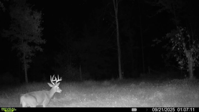 016578004352834-90-3-09212025010711-SYFW00216